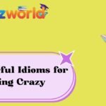 Powerful Idioms for Going Crazy