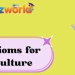 Idioms for Culture