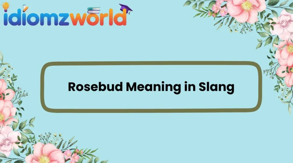 Rosebud Meaning in Slang