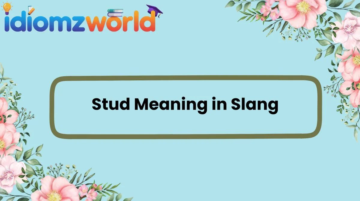 Stud Meaning in Slang