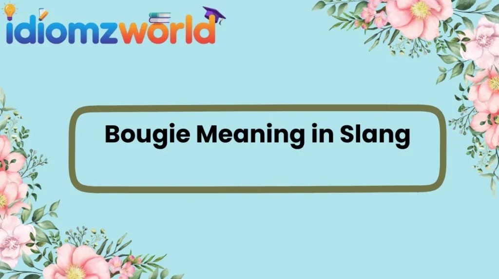 Bougie Meaning in Slang