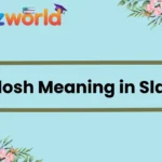 Galosh Meaning in Slang