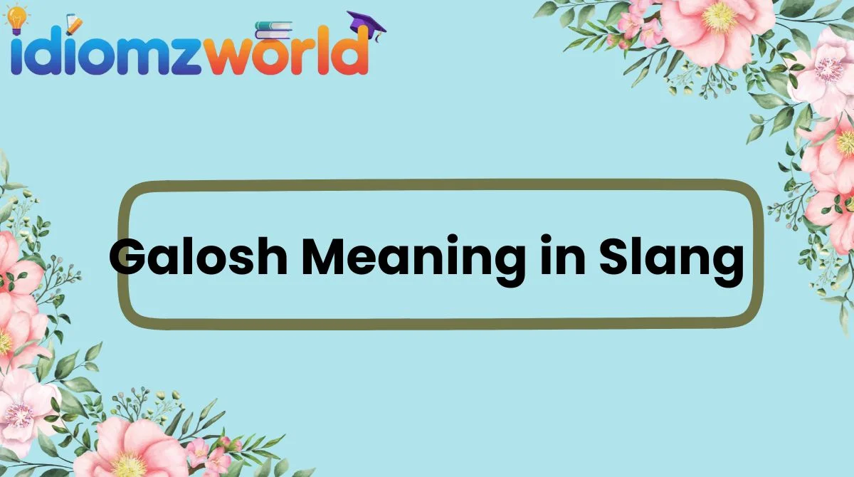 Galosh Meaning in Slang