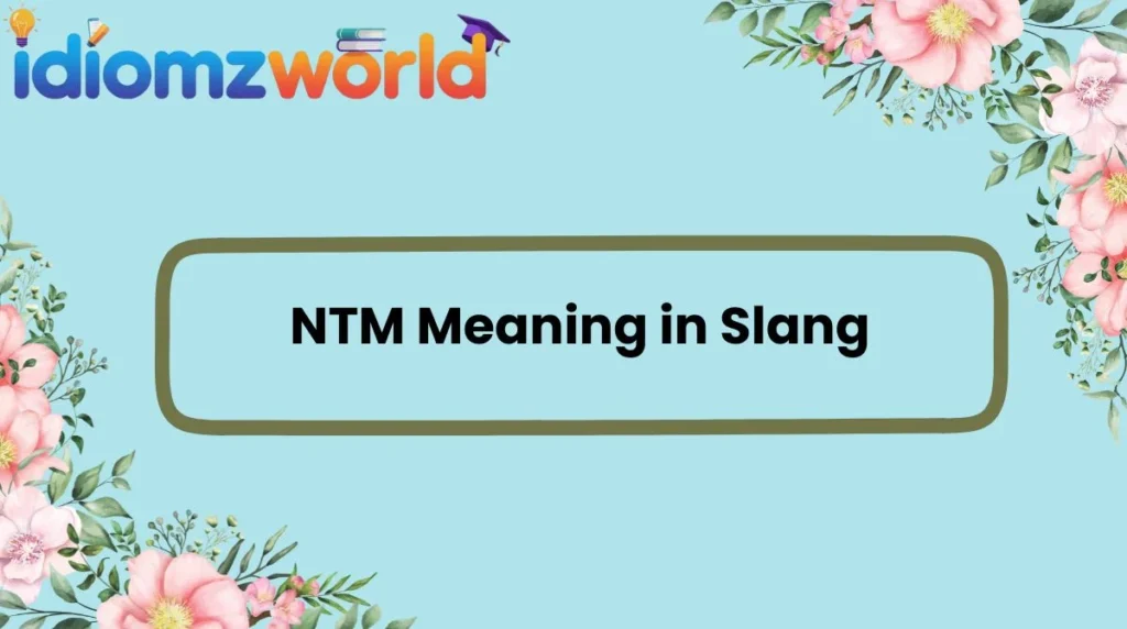 NTM Meaning in Slang