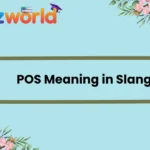POS Meaning in Slang